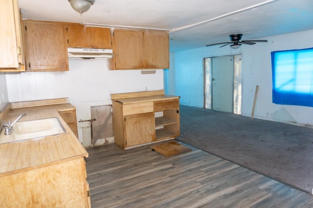 kitchen featuring ceiling fan, dark wood-style floors, under cabinet range hood, and a sink