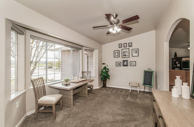 16526 Paula Rd, Madera, CA 93636 - interior space with a ceiling fan, dark colored carpet, lofted ceiling, and a healthy amount of sunlight