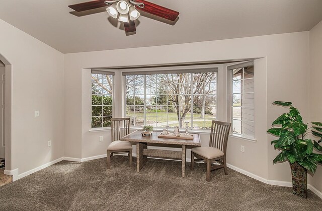 16526 Paula Rd, Madera, CA 93636 - dining room with arched walkways, carpet flooring, a ceiling fan, and a healthy amount of sunlight