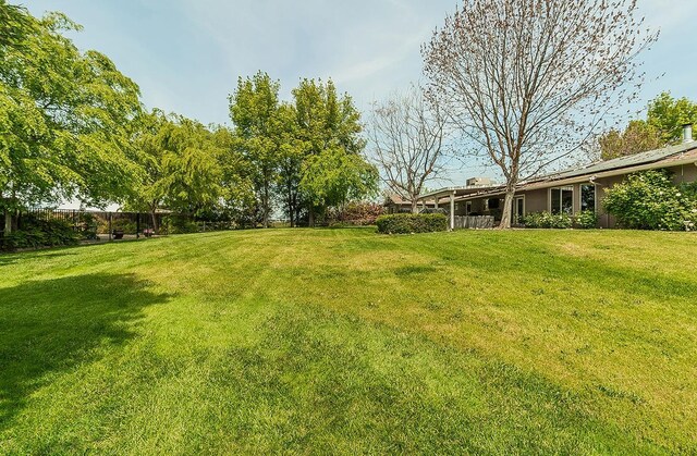 16526 Paula Rd, Madera, CA 93636 - view of yard