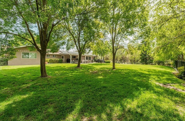 16526 Paula Rd, Madera, CA 93636 - view of yard