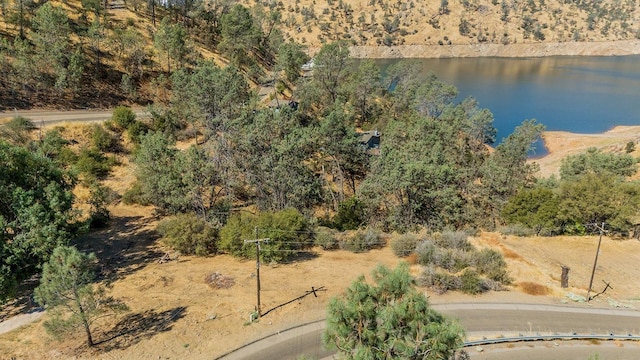 27757 Sky Harbour Rd, Friant, CA 93626