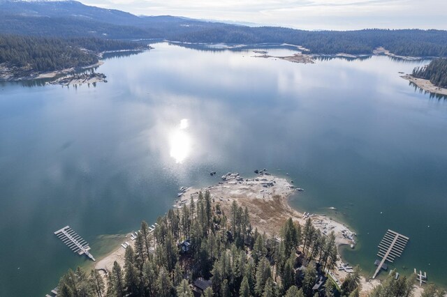 birds eye view of property with a water and mountain view