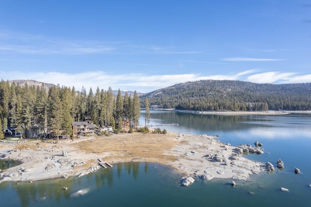 water view featuring a mountain view