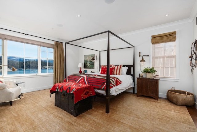 bedroom with ornamental molding, a mountain view, and multiple windows