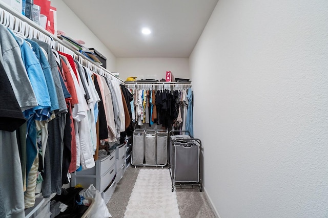 spacious closet featuring carpet floors