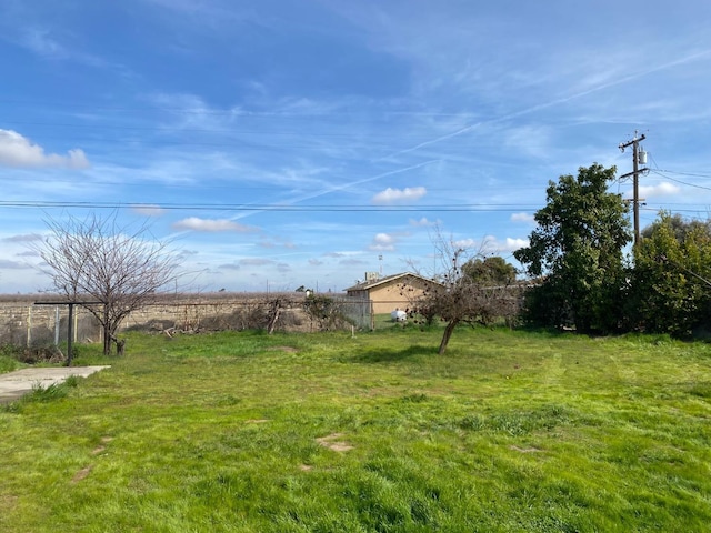 13208 S Marsh Ave, Caruthers, CA 93609 - view of yard