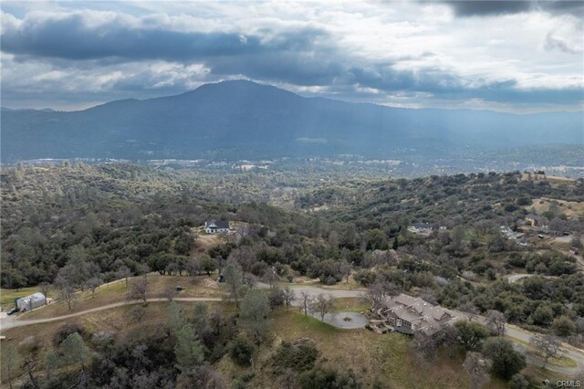 42139 Old Yosemite Rd, Oakhurst, CA 93644 - photo 61
