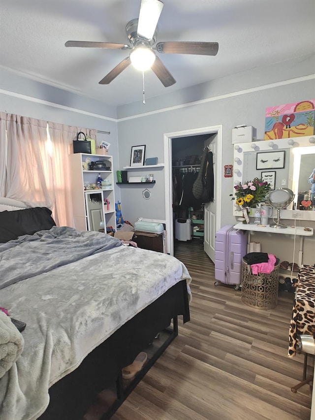 bedroom featuring a closet, a walk in closet, dark wood-style flooring, and ceiling fan