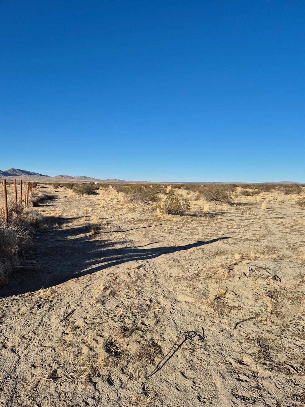 191 Ste Ave, Palmdale, CA 93591