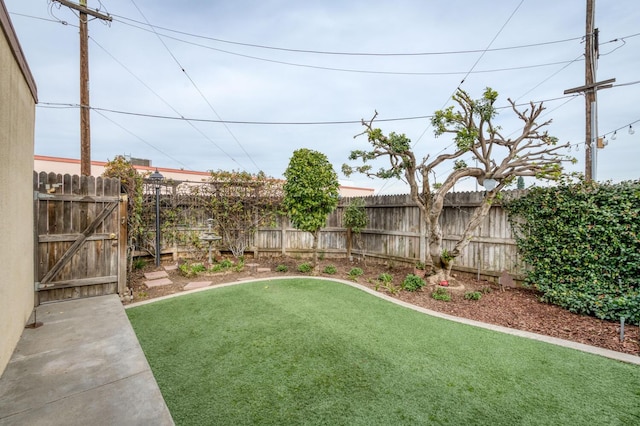 view of yard with a fenced backyard and a gate