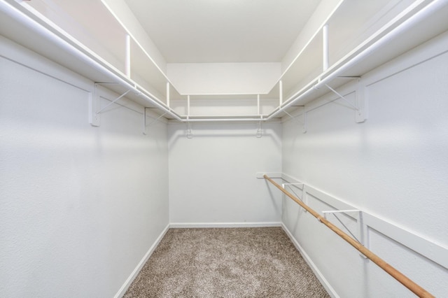 walk in closet with light colored carpet