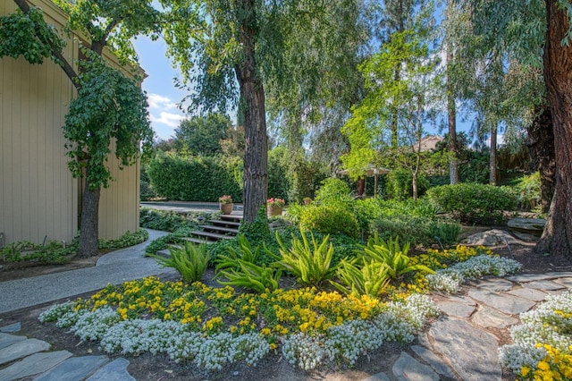 2352 W Loma Linda Ave, Fresno, CA 93711 - view of yard
