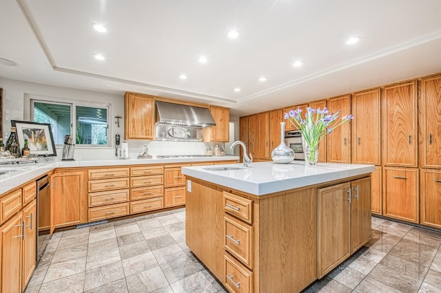 kitchen with an island with sink, sink, a tray ceiling, appliances with stainless steel finishes, and wall chimney exhaust hood