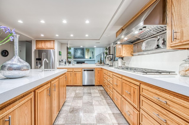 kitchen featuring appliances with stainless steel finishes, sink, and ventilation hood