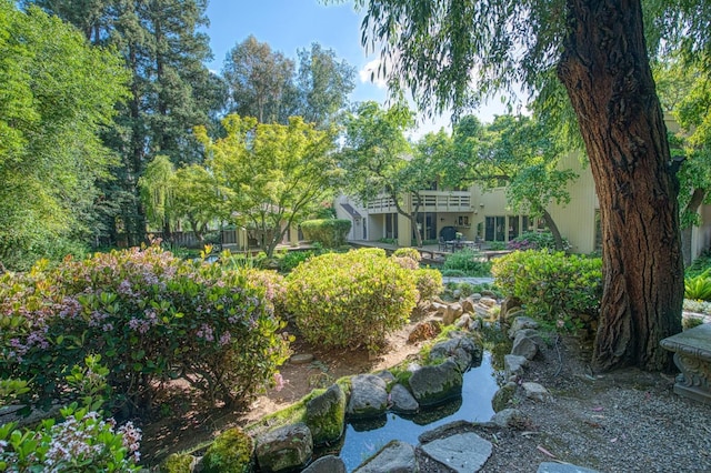 2352 W Loma Linda Ave, Fresno, CA 93711 - view of yard