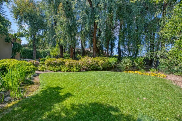 2352 W Loma Linda Ave, Fresno, CA 93711 - view of yard