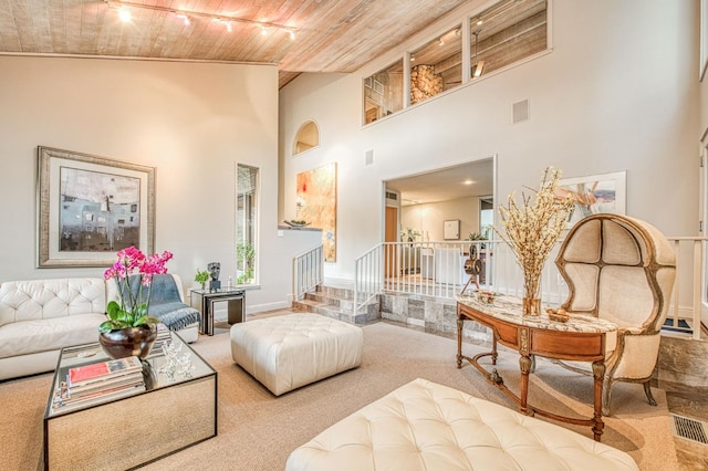 living area featuring carpet, track lighting, and a high ceiling