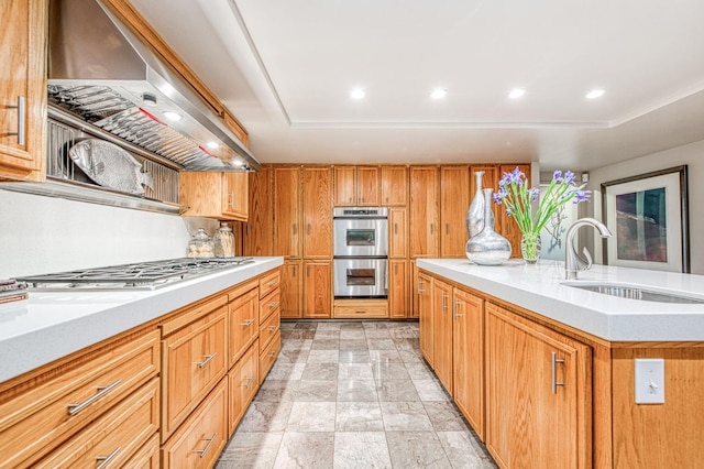 kitchen with appliances with stainless steel finishes, extractor fan, a center island, a tray ceiling, and sink