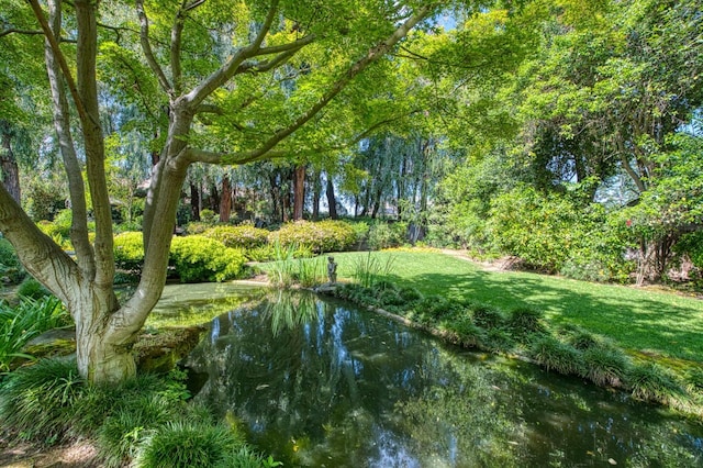 2352 W Loma Linda Ave, Fresno, CA 93711 - surrounding community featuring a yard