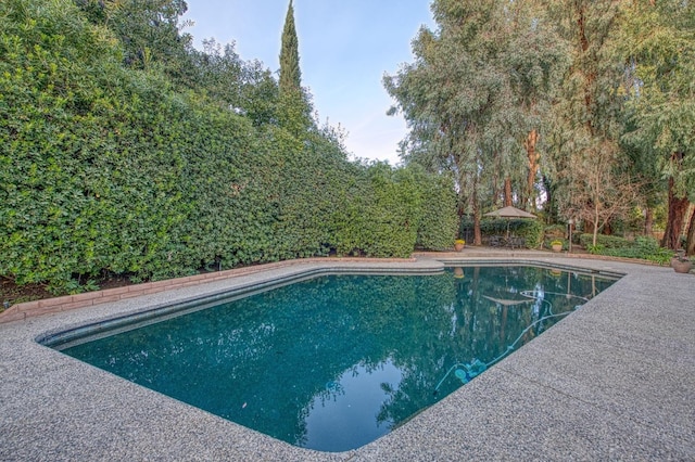 2352 W Loma Linda Ave, Fresno, CA 93711 - view of pool