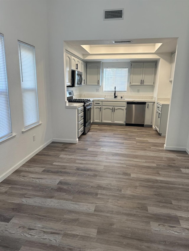 kitchen featuring dark hardwood / wood-style flooring, sink, stainless steel appliances, and a raised ceiling