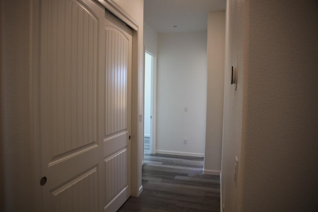 hallway with dark wood-type flooring