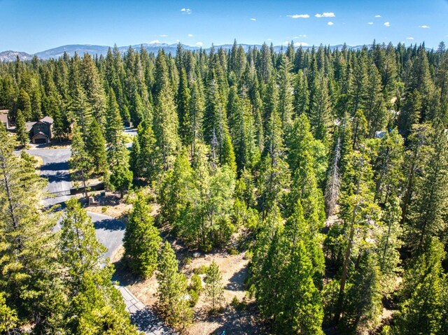 drone / aerial view with a mountain view