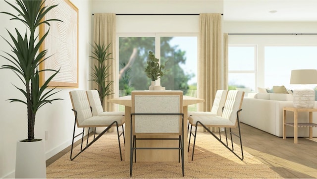 dining area featuring a healthy amount of sunlight