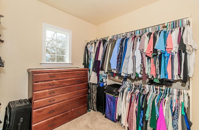 spacious closet featuring light carpet