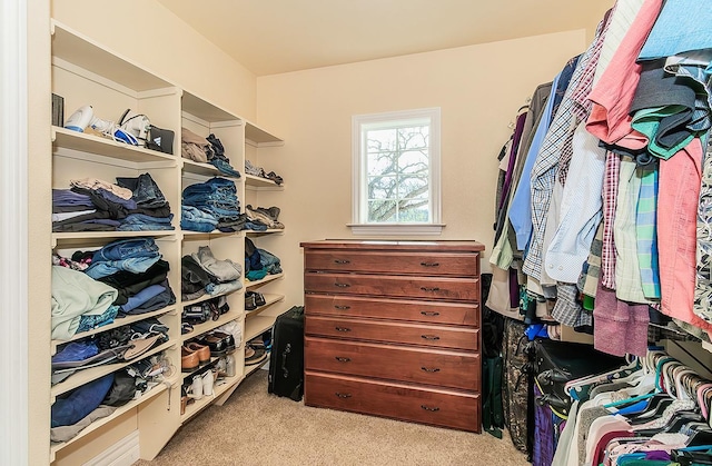 walk in closet featuring light colored carpet