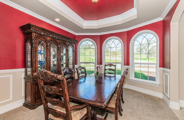 dining room with ornamental molding, a raised ceiling, and wainscoting