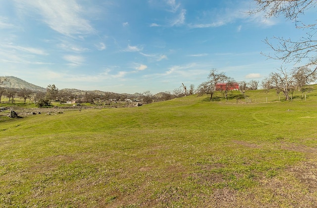 view of yard featuring a mountain view and a rural view