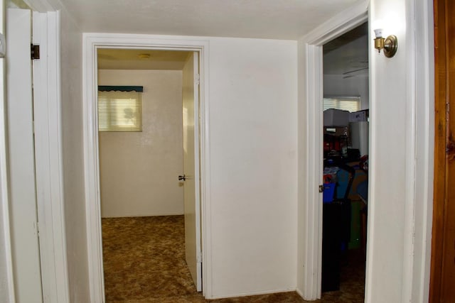 hallway featuring carpet floors