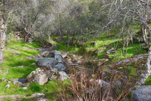 44755 Savage Rd, Coarsegold, CA 93614 - photo 41