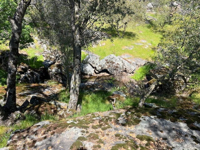 44755 Savage Rd, Coarsegold, CA 93614 - photo 70