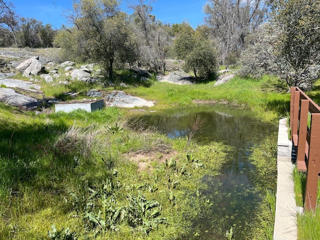 44755 Savage Rd, Coarsegold, CA 93614 - photo 42