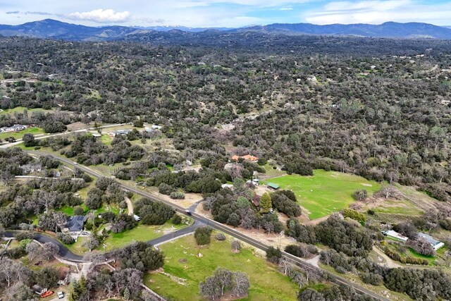44755 Savage Rd, Coarsegold, CA 93614 - photo 67