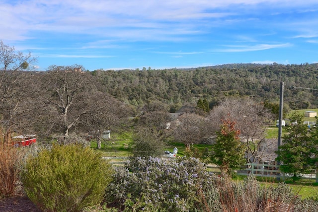 44755 Savage Rd, Coarsegold, CA 93614 - photo 50