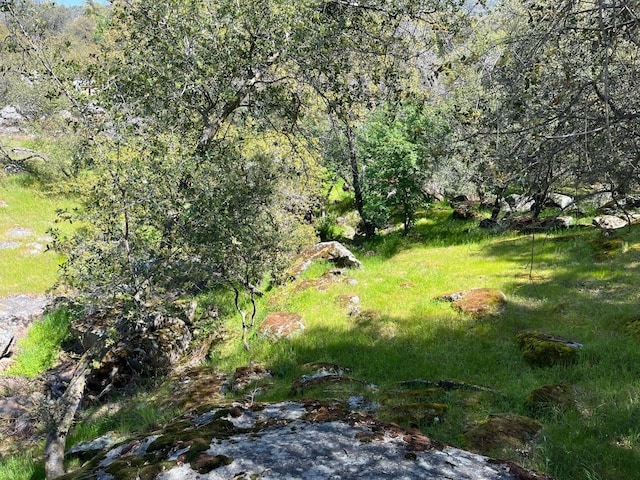 44755 Savage Rd, Coarsegold, CA 93614 - photo 69