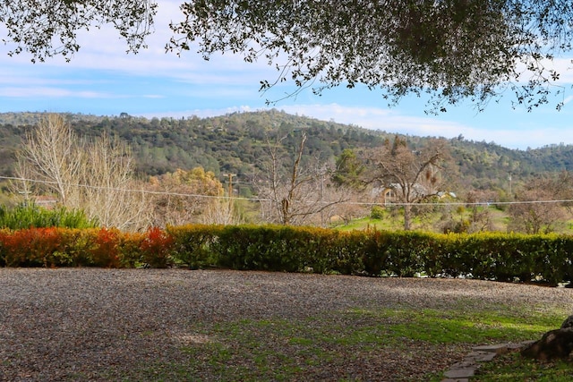 44755 Savage Rd, Coarsegold, CA 93614 - photo 60