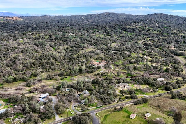 44755 Savage Rd, Coarsegold, CA 93614 - photo 68