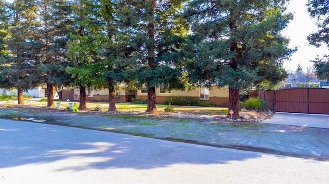 view of yard featuring a gate