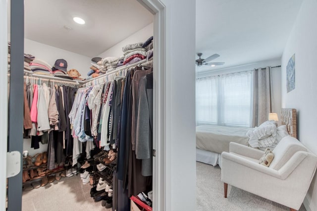 walk in closet featuring light carpet and a ceiling fan