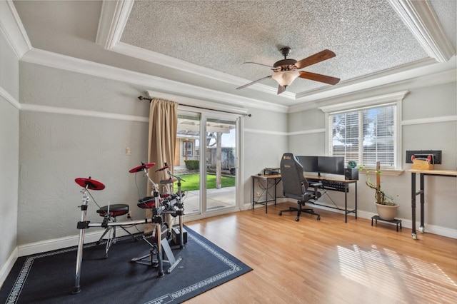 workout room with a raised ceiling, wood finished floors, a wealth of natural light, and crown molding