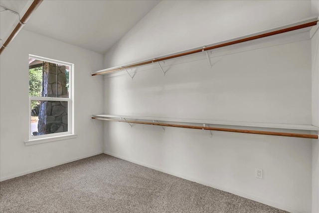 walk in closet with vaulted ceiling and carpet flooring