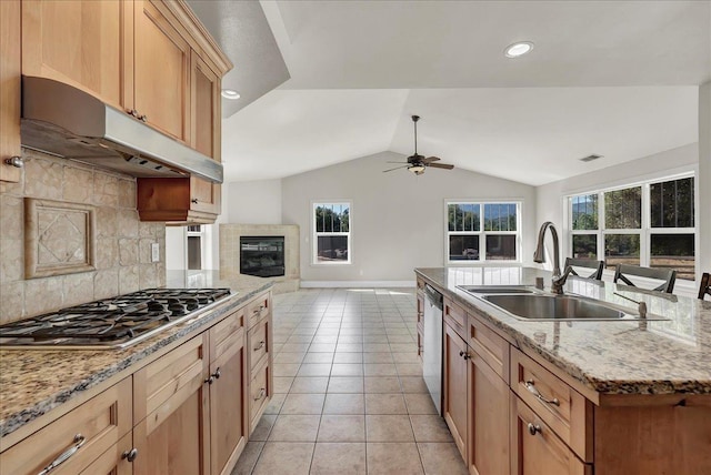 kitchen featuring light tile patterned floors, appliances with stainless steel finishes, vaulted ceiling, under cabinet range hood, and a sink