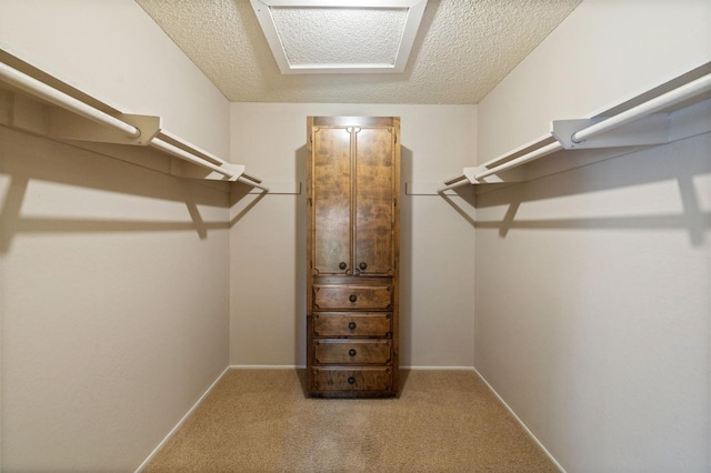 spacious closet with carpet floors