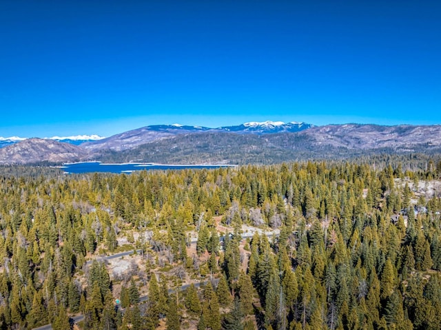 view of mountain feature featuring a view of trees