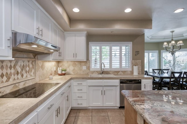 kitchen with a tray ceiling, a sink, under cabinet range hood, and stainless steel dishwasher